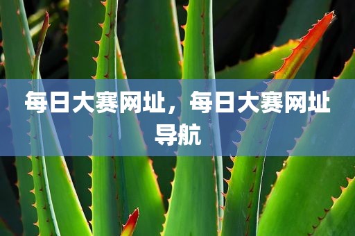每日大赛网址，每日大赛网址导航