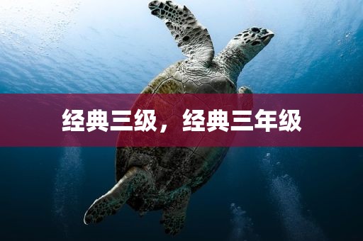 经典三级，经典三年级