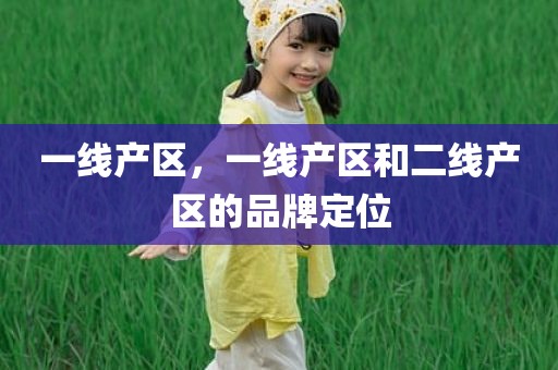 一线产区，一线产区和二线产区的品牌定位