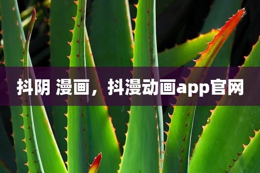 抖阴 漫画，抖漫动画app官网