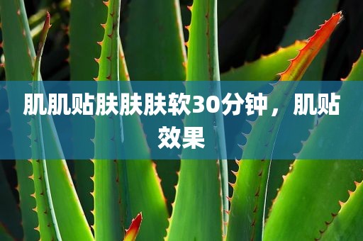 肌肌贴肤肤肤软30分钟，肌贴效果