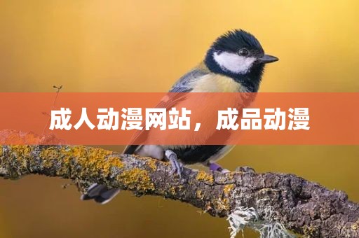 成人动漫网站，成品动漫