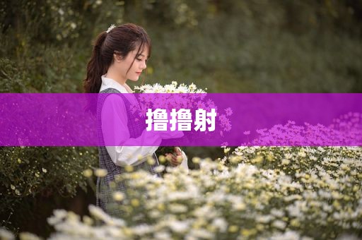 撸撸射