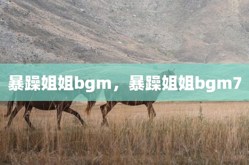 暴躁姐姐bgm，暴躁姐姐bgm7