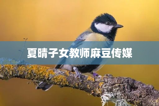 夏晴子女教师麻豆传媒