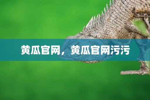 黄瓜官网，黄瓜官网污污