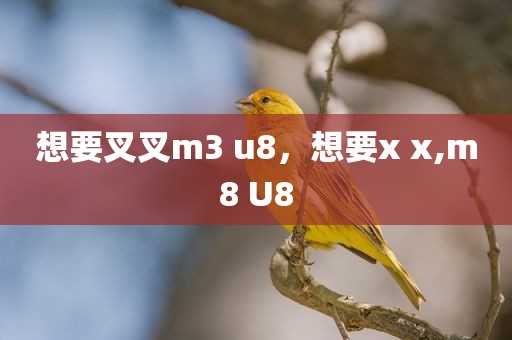 想要叉叉m3 u8，想要x x,m8 U8