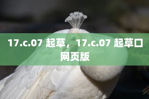 17.c.07 起草，17.c.07 起草口网页版