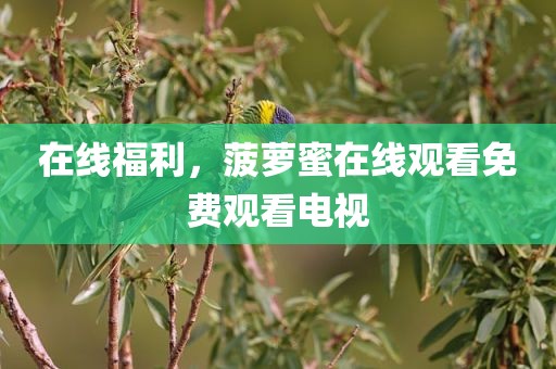 在线福利，菠萝蜜在线观看免费观看电视