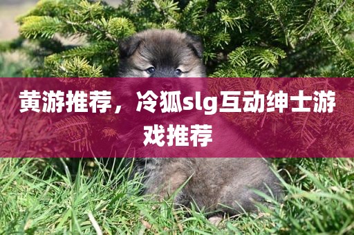 黄游推荐，冷狐slg互动绅士游戏推荐