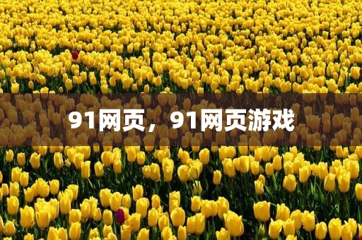 91网页，91网页游戏