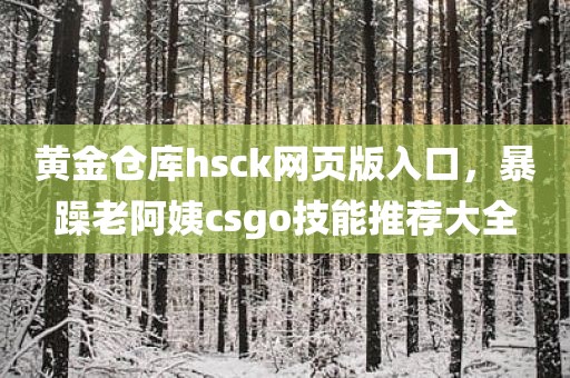 黄金仓库hsck网页版入口，暴躁老阿姨csgo技能推荐大全