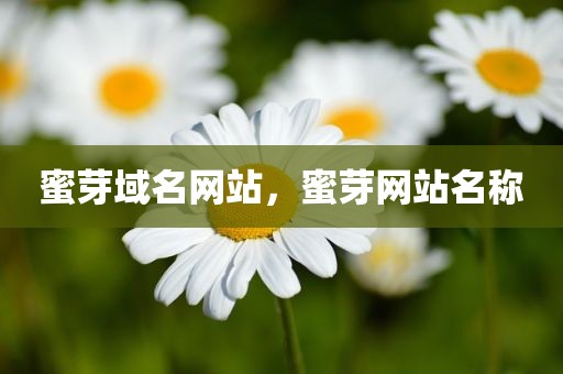 蜜芽域名网站，蜜芽网站名称