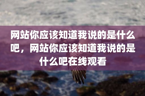 网站你应该知道我说的是什么吧，网站你应该知道我说的是什么吧在线观看