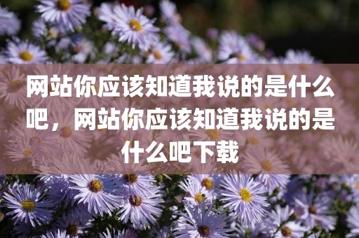 网站你应该知道我说的是什么吧，网站你应该知道我说的是什么吧下载