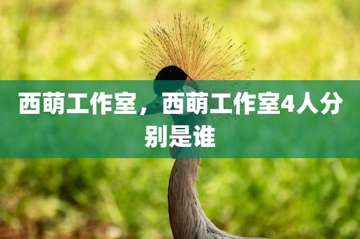 西萌工作室，西萌工作室4人分别是谁