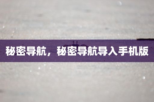 秘密导航，秘密导航导入手机版