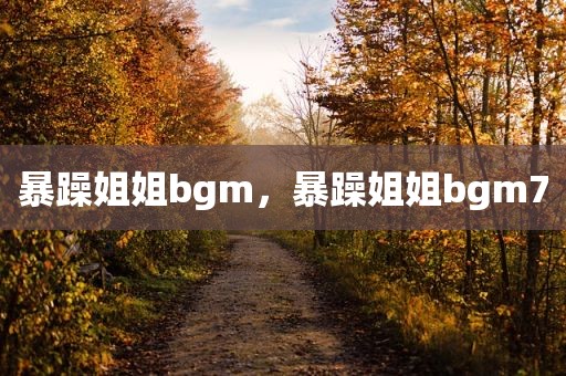 暴躁姐姐bgm，暴躁姐姐bgm7