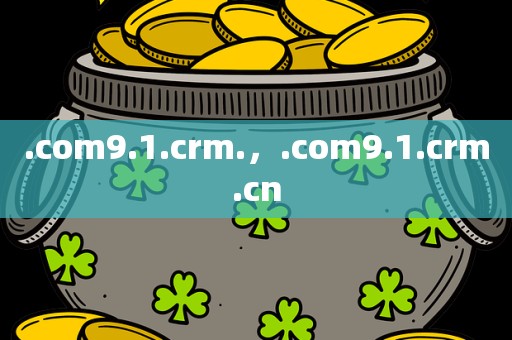 .com9.1.crm.，.com9.1.crm.cn