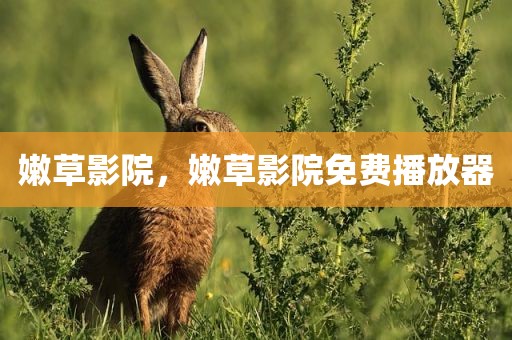 嫩草影院，嫩草影院免费播放器