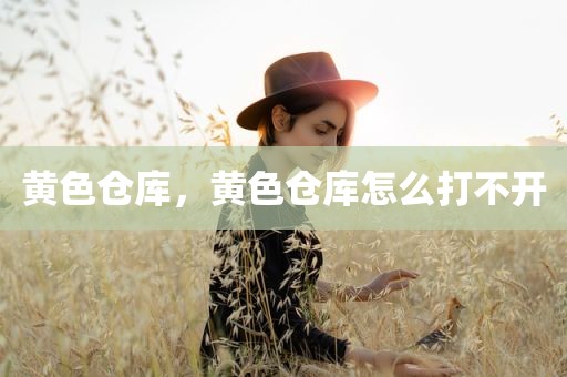 黄色仓库，黄色仓库怎么打不开