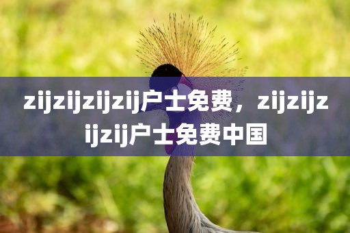 zijzijzijzij户士免费，zijzijzijzij户士免费中国