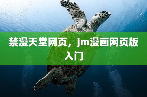 禁漫天堂网页，jm漫画网页版入门