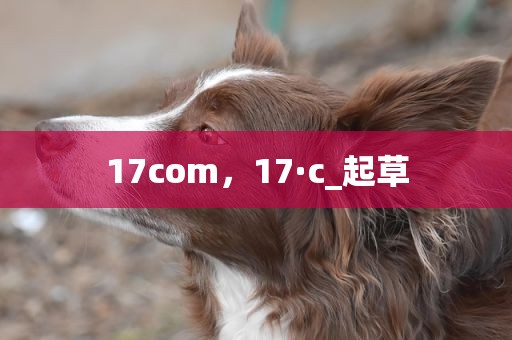17com，17·c_起草