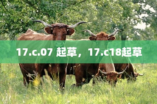 17.c.07 起草，17.c18起草
