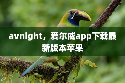 avnight，爱尔威app下载最新版本苹果