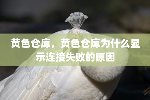 黄色仓库，黄色仓库为什么显示连接失败的原因