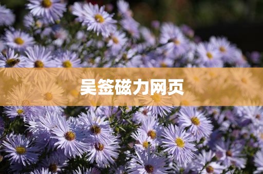 吴签磁力网页