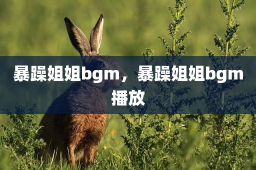 暴躁姐姐bgm，暴躁姐姐bgm播放