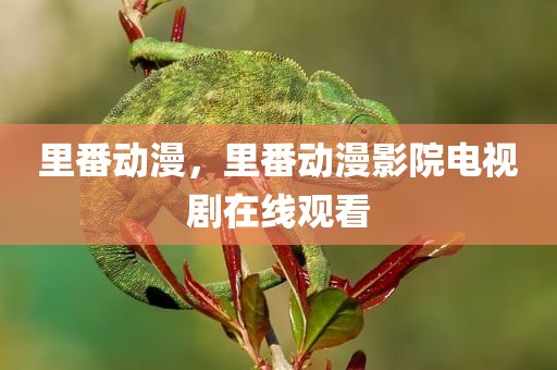 里番动漫，里番动漫影院电视剧在线观看