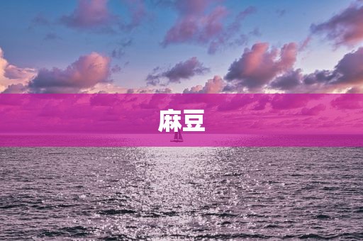 麻豆