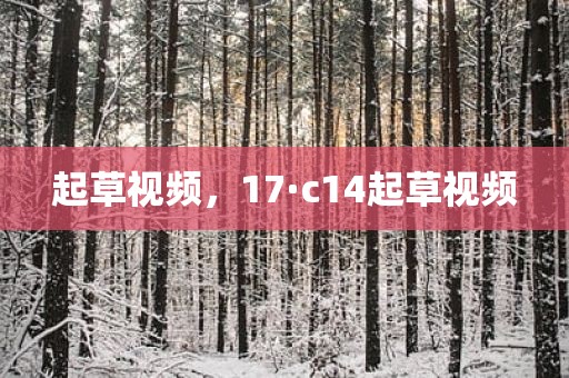 起草视频，17·c14起草视频