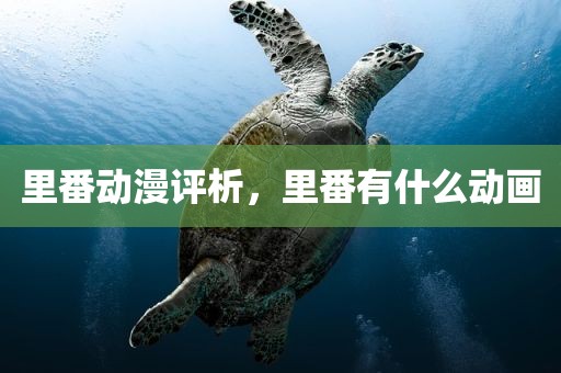 里番动漫评析，里番有什么动画
