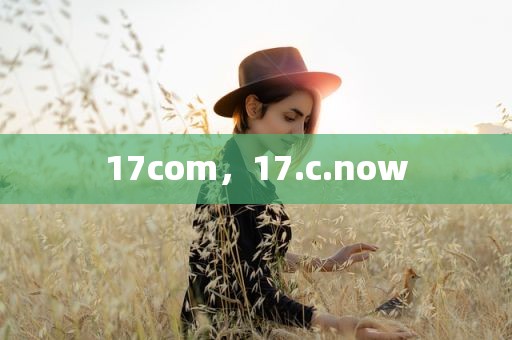 17com，17.c.now