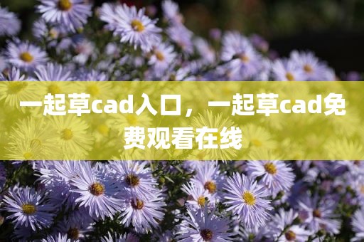 一起草cad入口，一起草cad免费观看在线