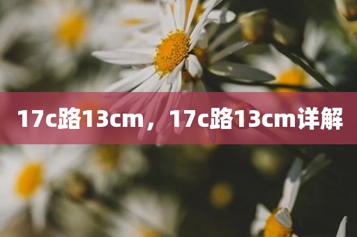 17c路13cm，17c路13cm详解