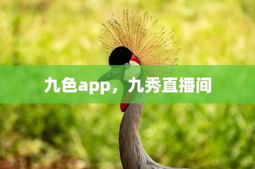 九色app，九秀直播间