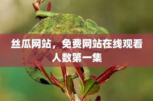 丝瓜网站，免费网站在线观看人数第一集
