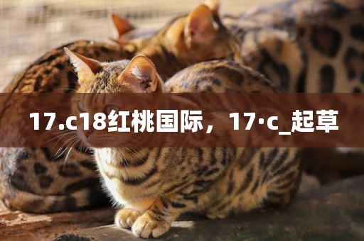 17.c18红桃国际，17·c_起草