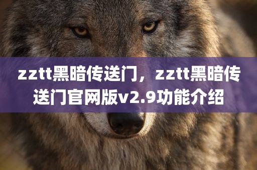 zztt黑暗传送门，zztt黑暗传送门官网版v2.9功能介绍