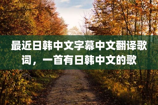 最近日韩中文字幕中文翻译歌词，一首有日韩中文的歌