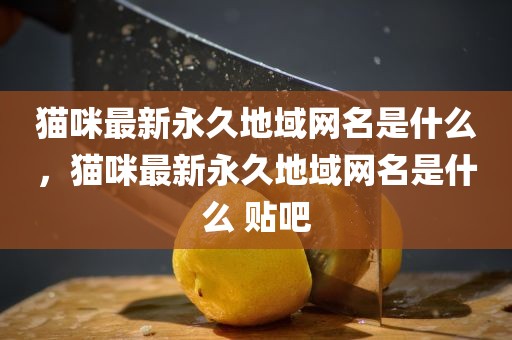 猫咪最新永久地域网名是什么，猫咪最新永久地域网名是什么 贴吧
