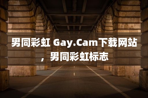 男同彩虹 Gay.Cam下载网站，男同彩虹标志