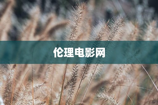 伦理电影网