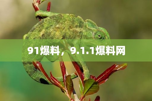91爆料，9.1.1爆料网