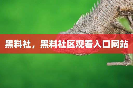 黑料社，黑料社区观看入口网站